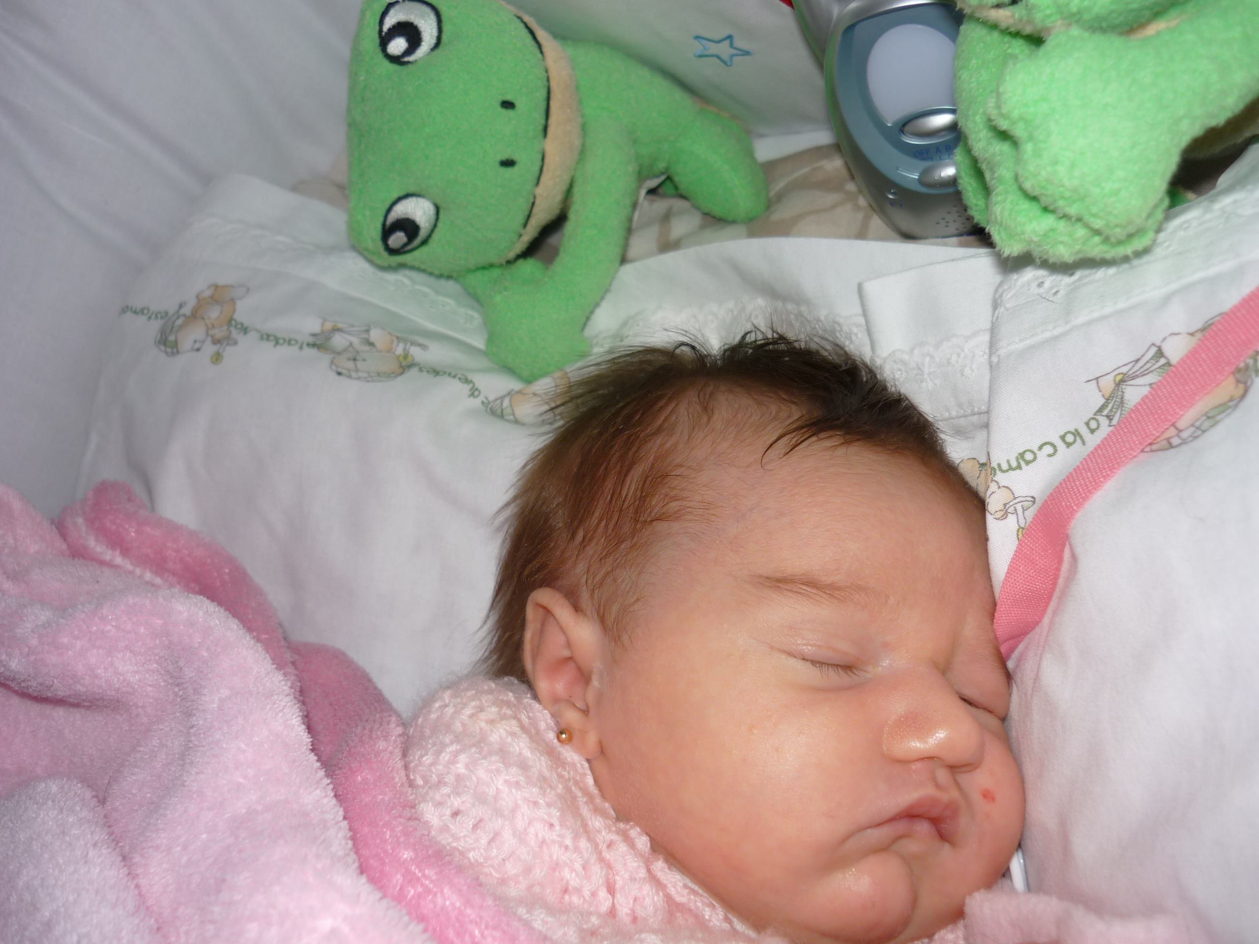 fotos/2010-06-09 - Nacimiento Iara/P1010257.JPG